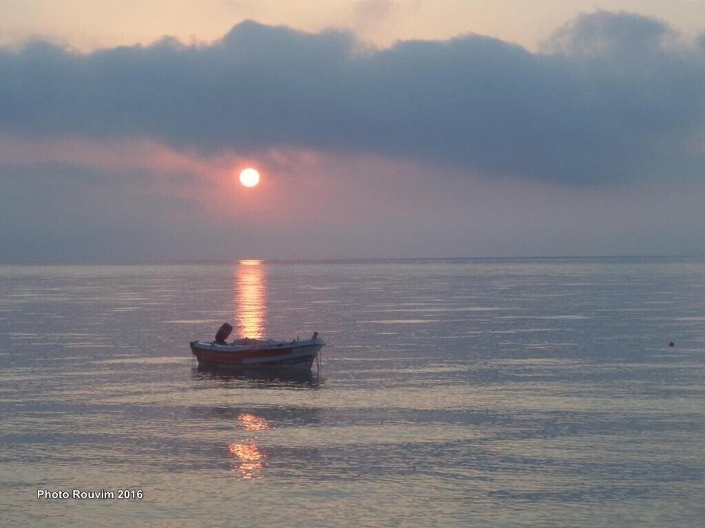 Картинка Sea Harmony 3*