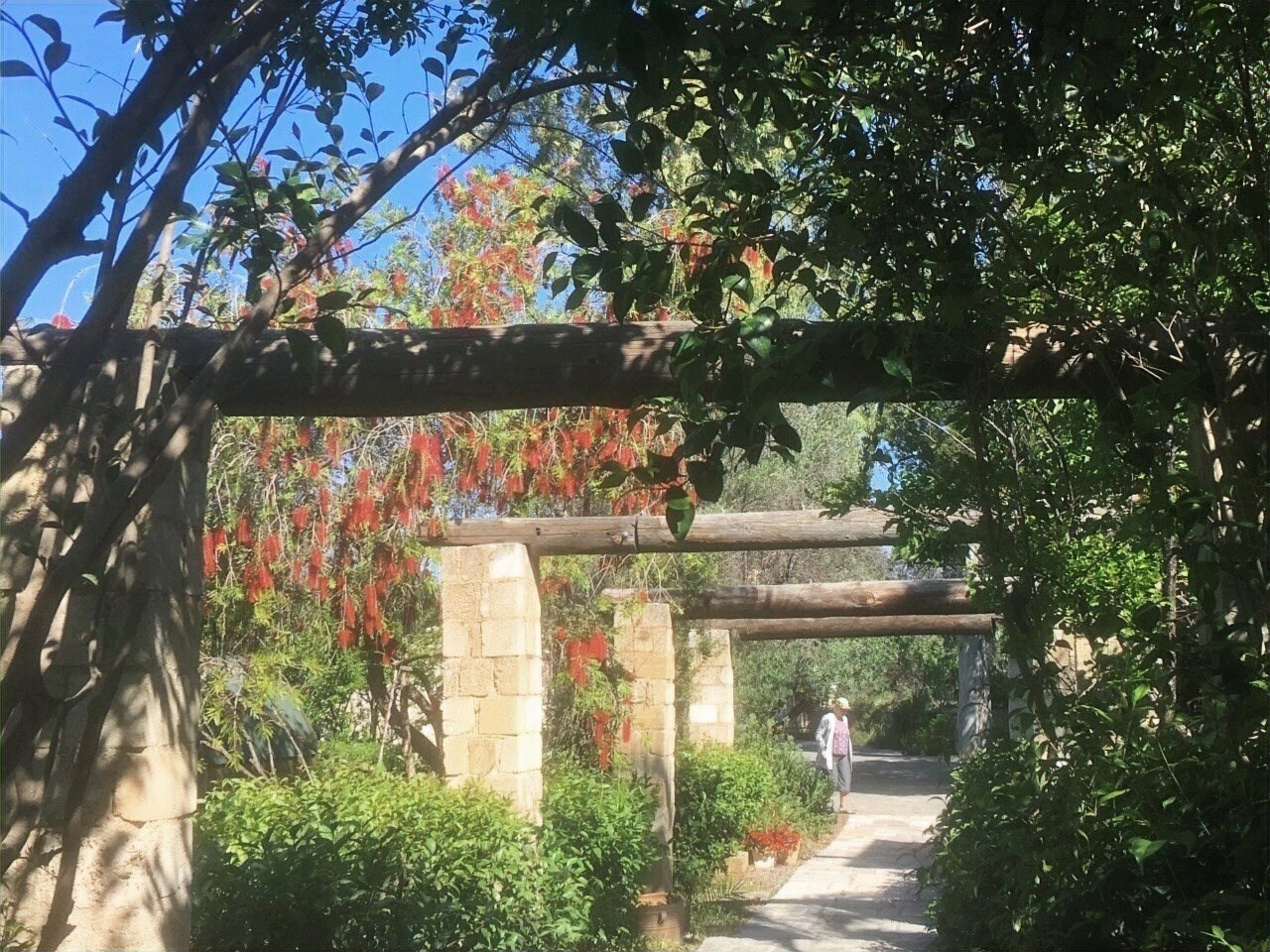 Фотография Villa Panagos - Studios & Apartment 3*