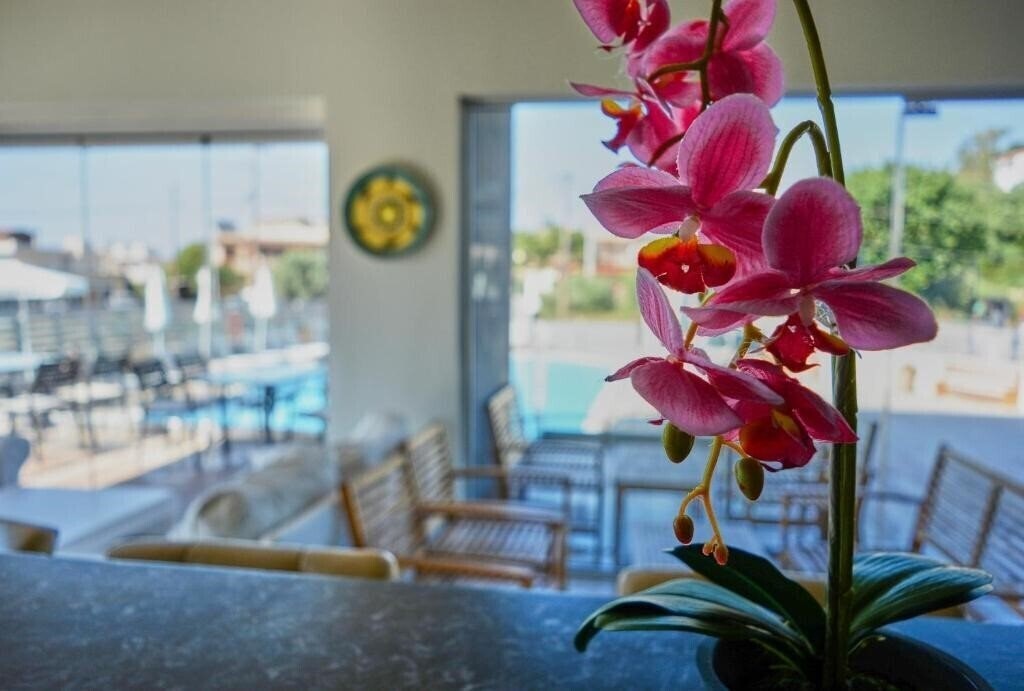 Фотографія Ivory Serenity Hotel 2*