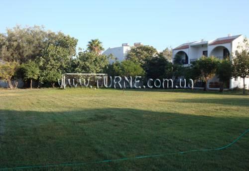 Фото Oasis Bungalows 3*