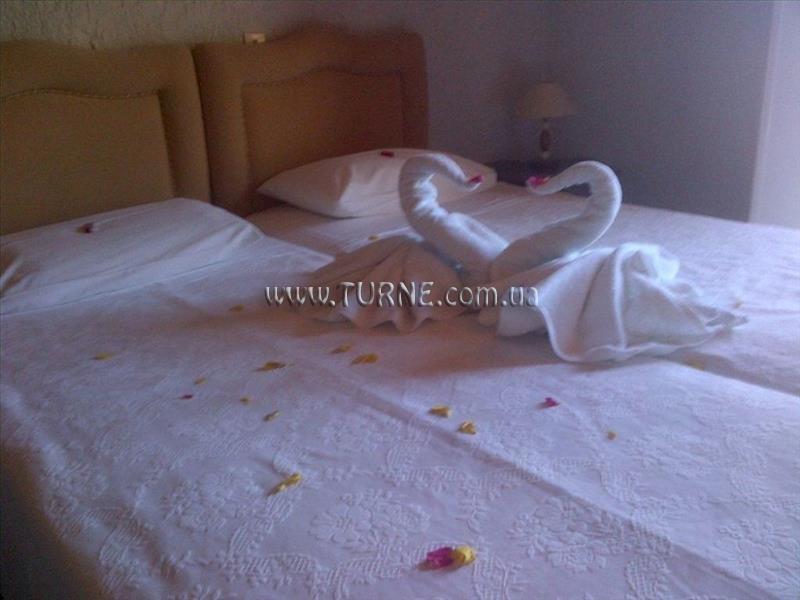 Зображення Virginia Hotel Samos 3*