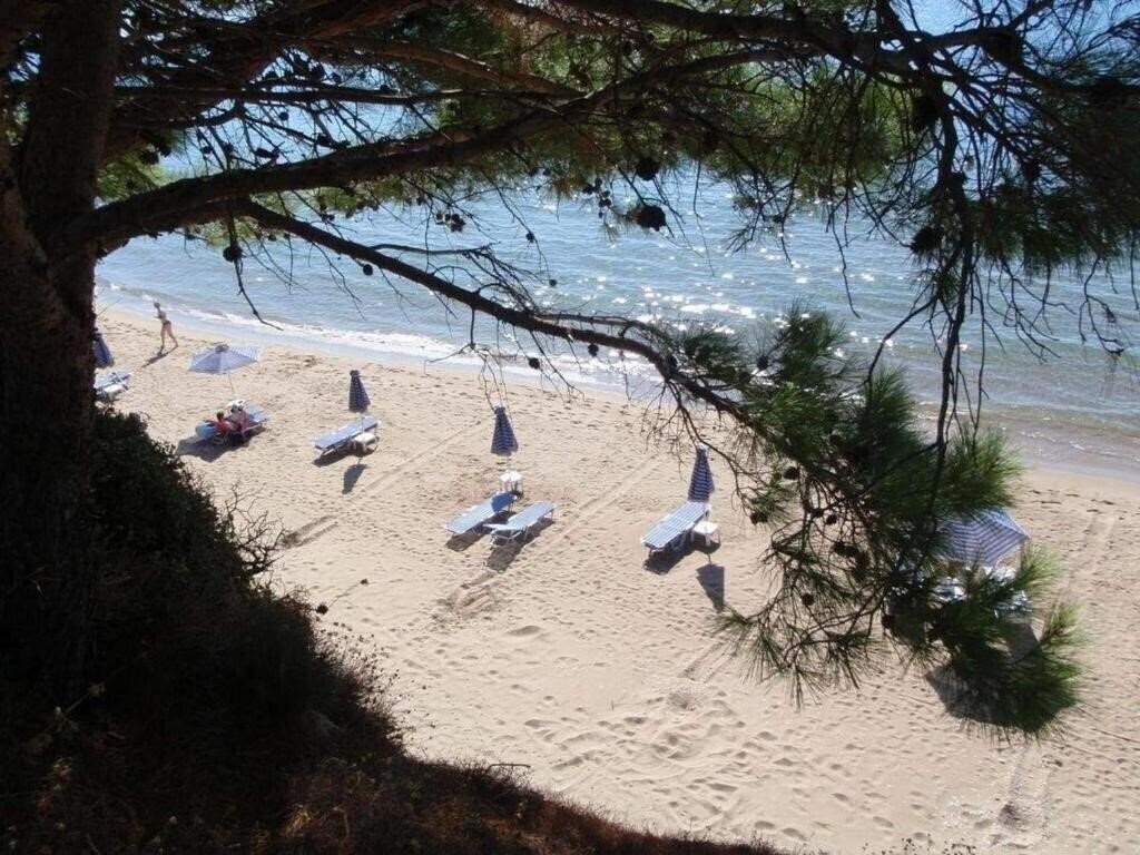 Фото Golden Sand Hotel 3*