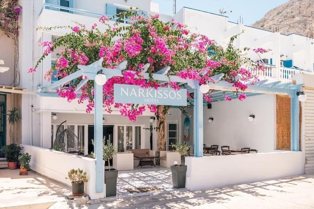 Отель Narkissos Hotel 3*