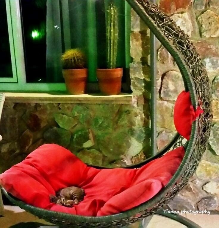 Картинка Atalos Suites 3*