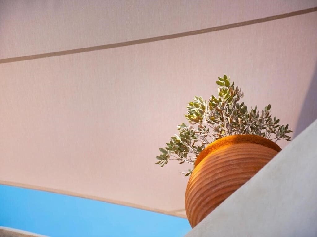 Фотография Anemi House & Villas 3*