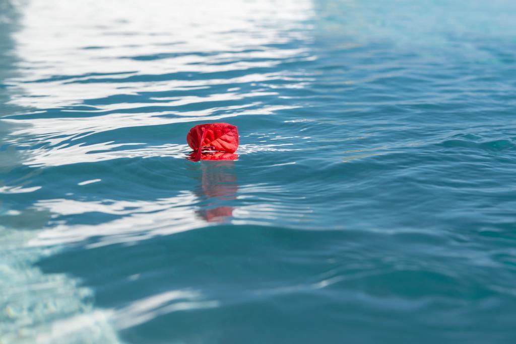 Отель Andronis Boutique 5*