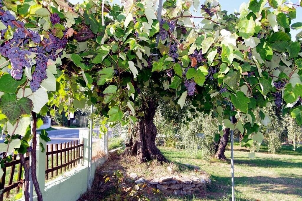Фото Athina City Hotel 2*