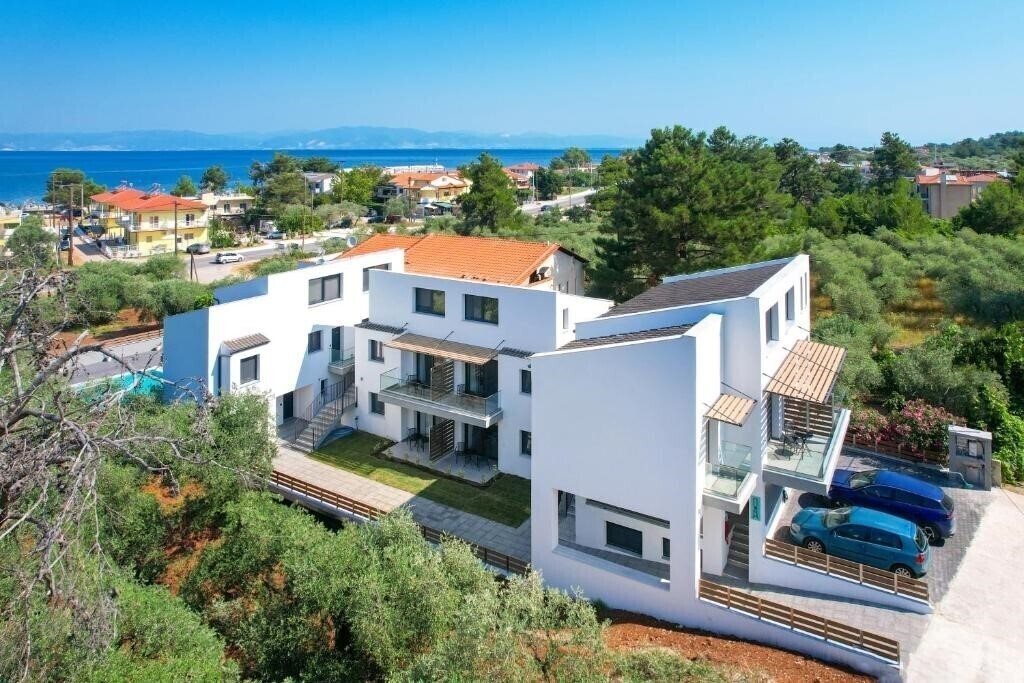 Картинка Olive Roots 5*