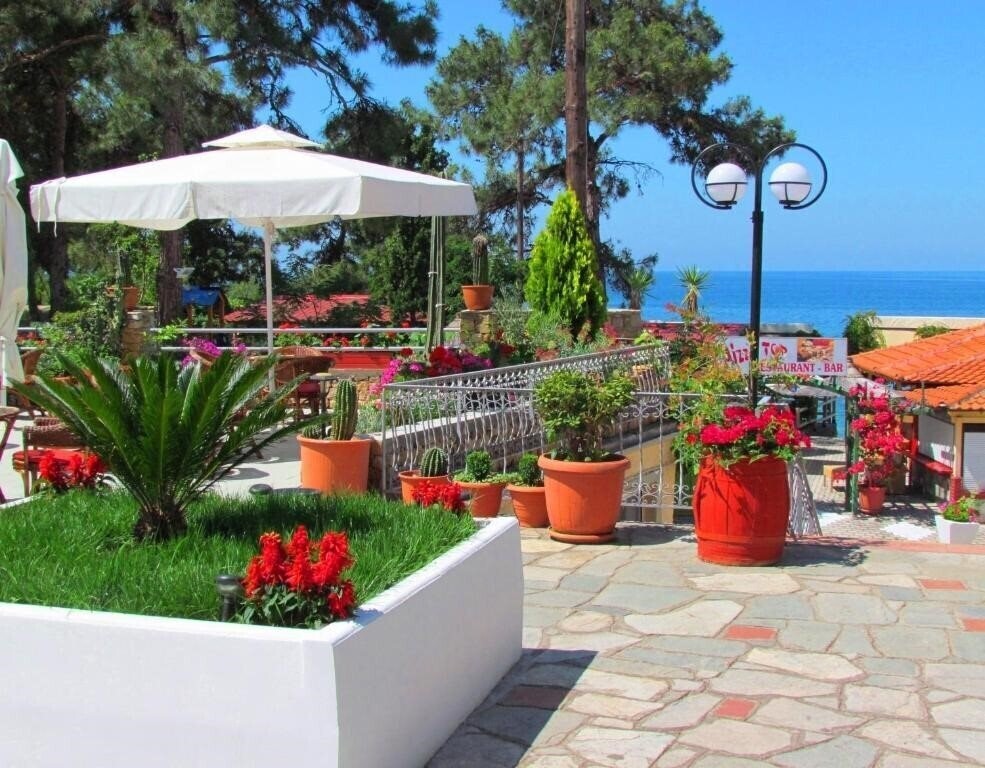 Фото Thassos Hotel 2*