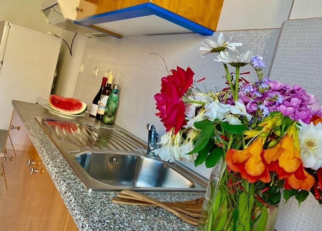 Фото Nitsa Beach Apts Tilos 2*