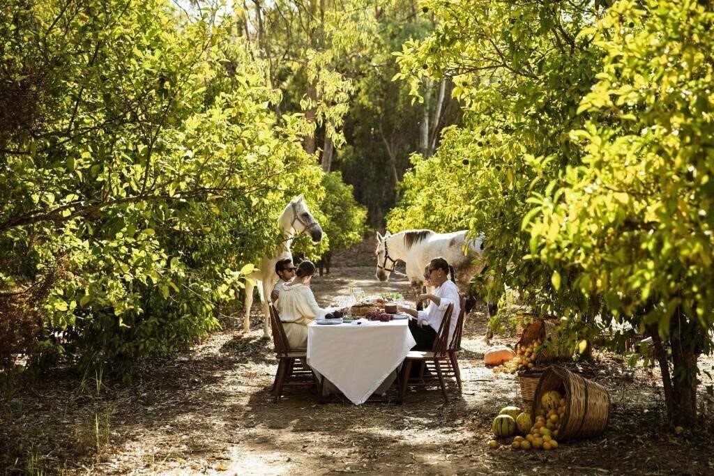 Картинка Domes Aulus Zante, Autograph Collection 5*