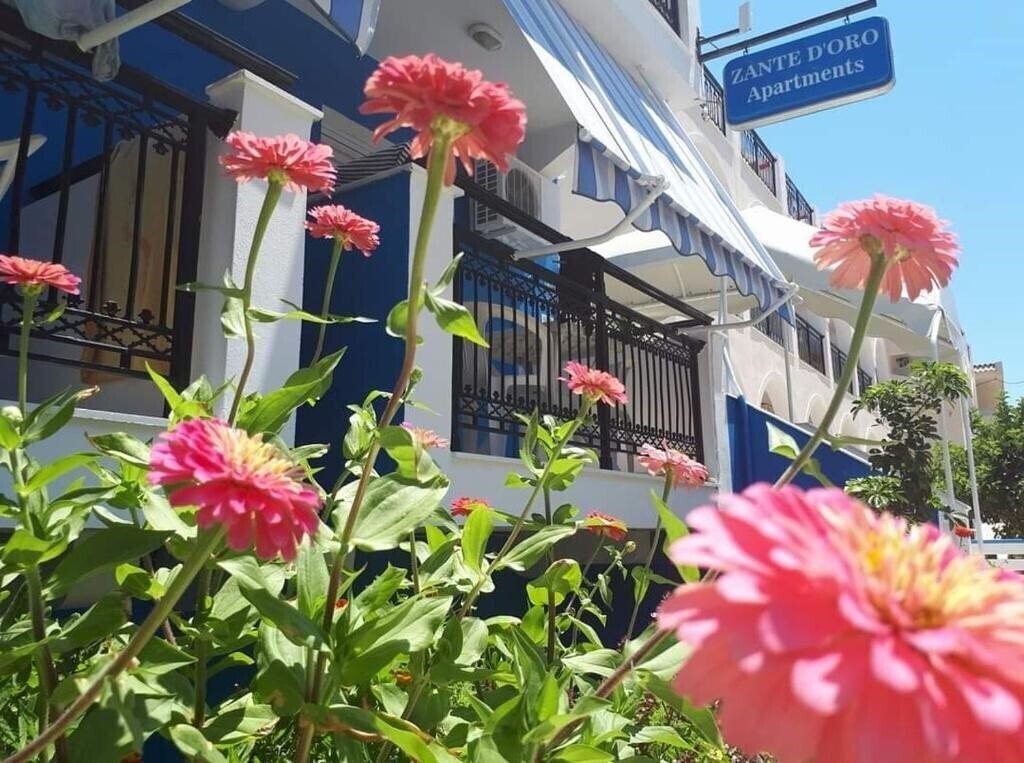 Фотографія Hotel Asimina Laganas 3*