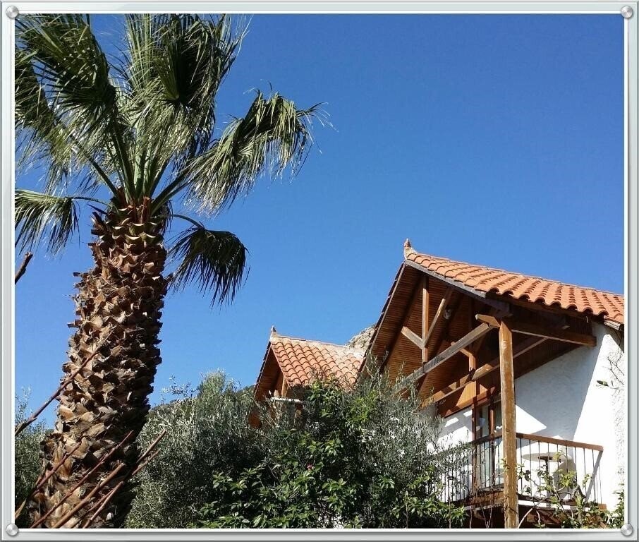 Картинка Olive Tree Cottages 3*