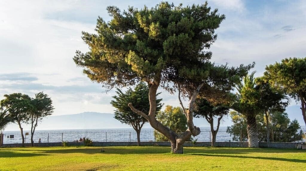 Отель Punda 4 Seasons 3*