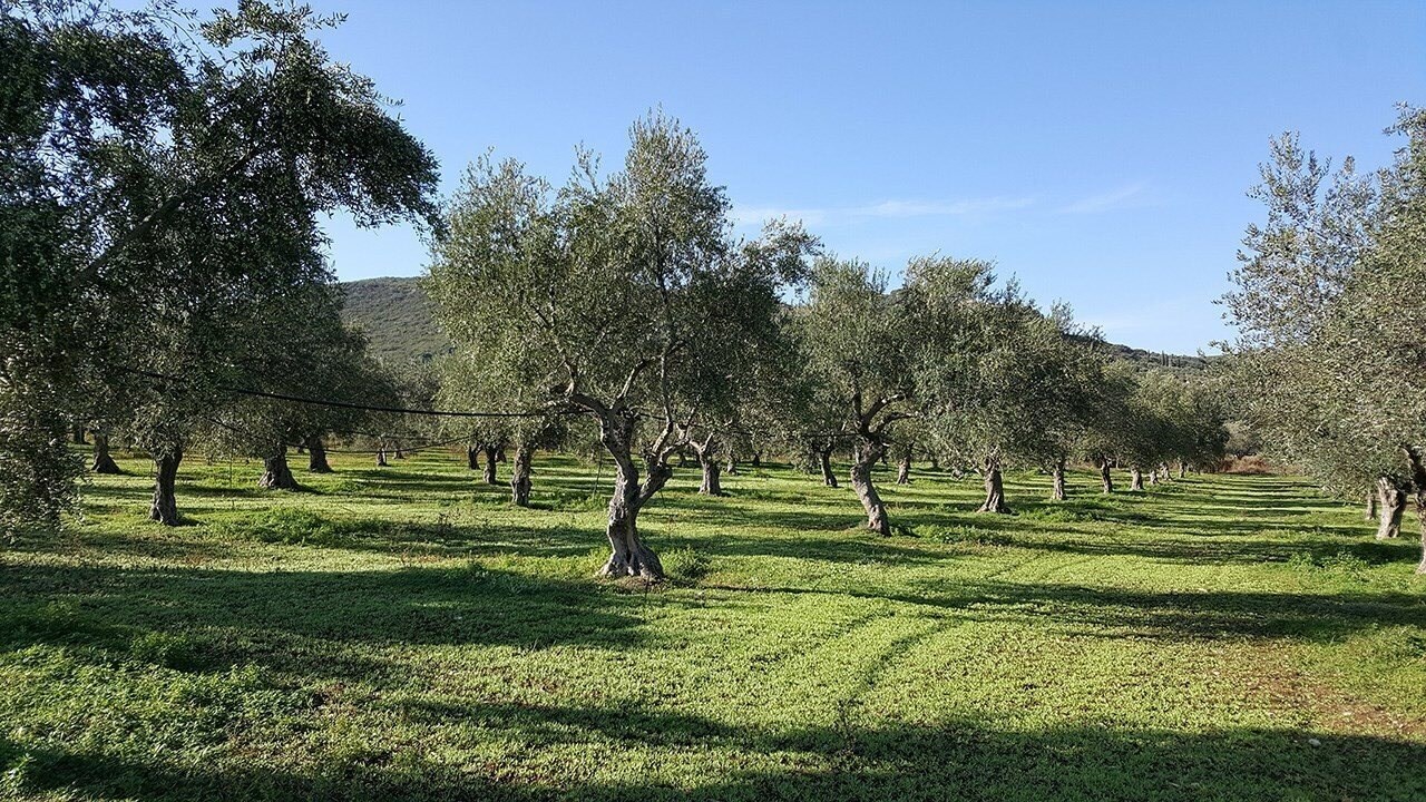 Картинка Liotrivi Monemvasia Boutique Hotel (ex. To Liotrivi) 4*