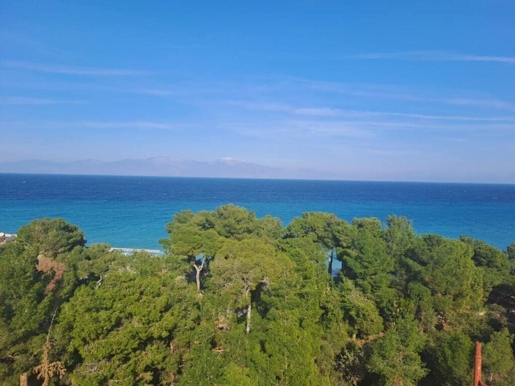 Фотографія Evita Blue 4*