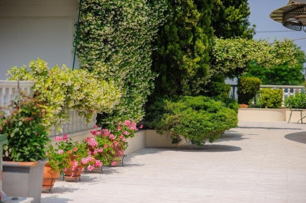 Зображення Kalipso Resort Hotel 1*