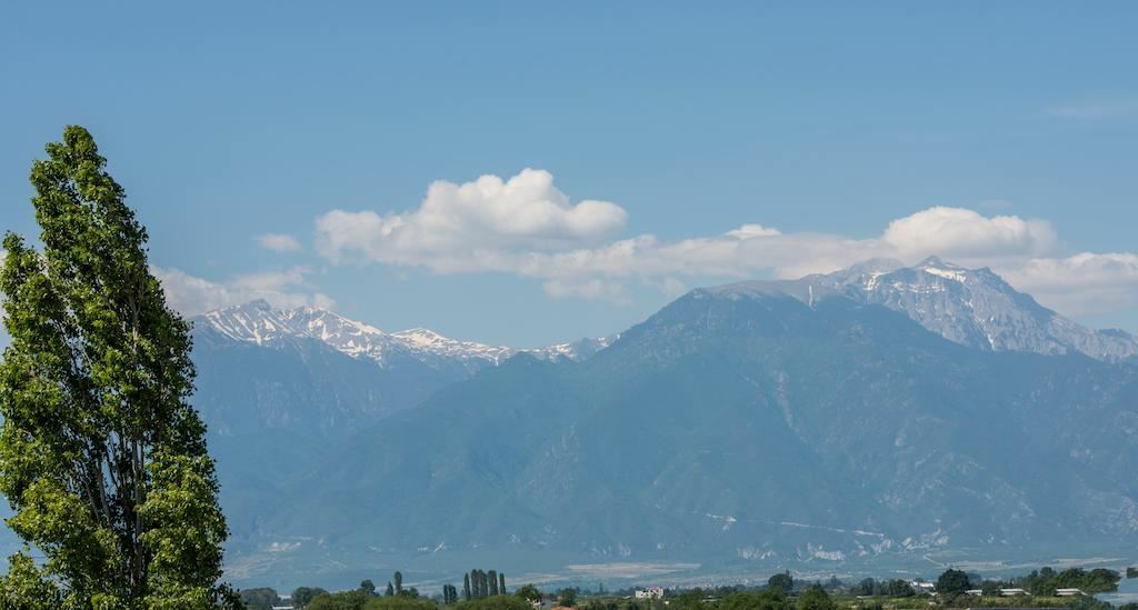 Фотография Melbourne 2*