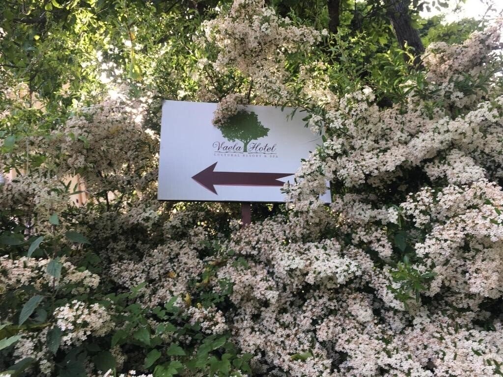 Изображение Vaela Pallas Cultural Resort & Spa 3*