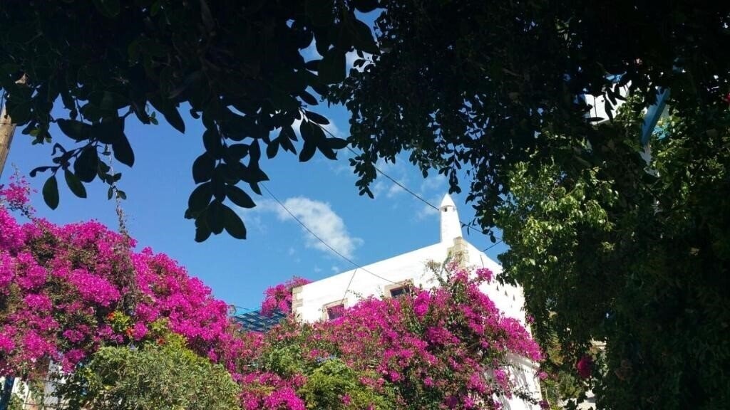 Готель Xenonas отель без категории