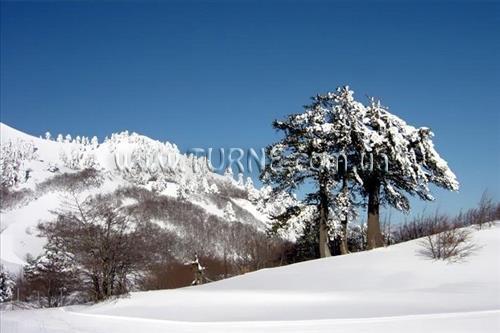 Отель Новый Год в Греции! отель без категории