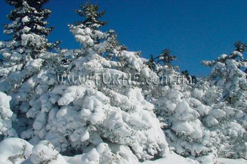 Изображение Новый Год в Греции! отель без категории