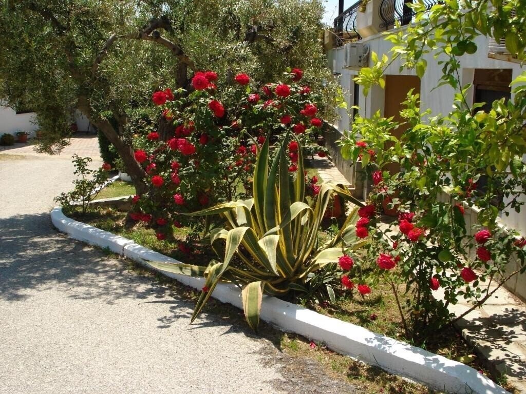 Картинка Asteris Village 3*
