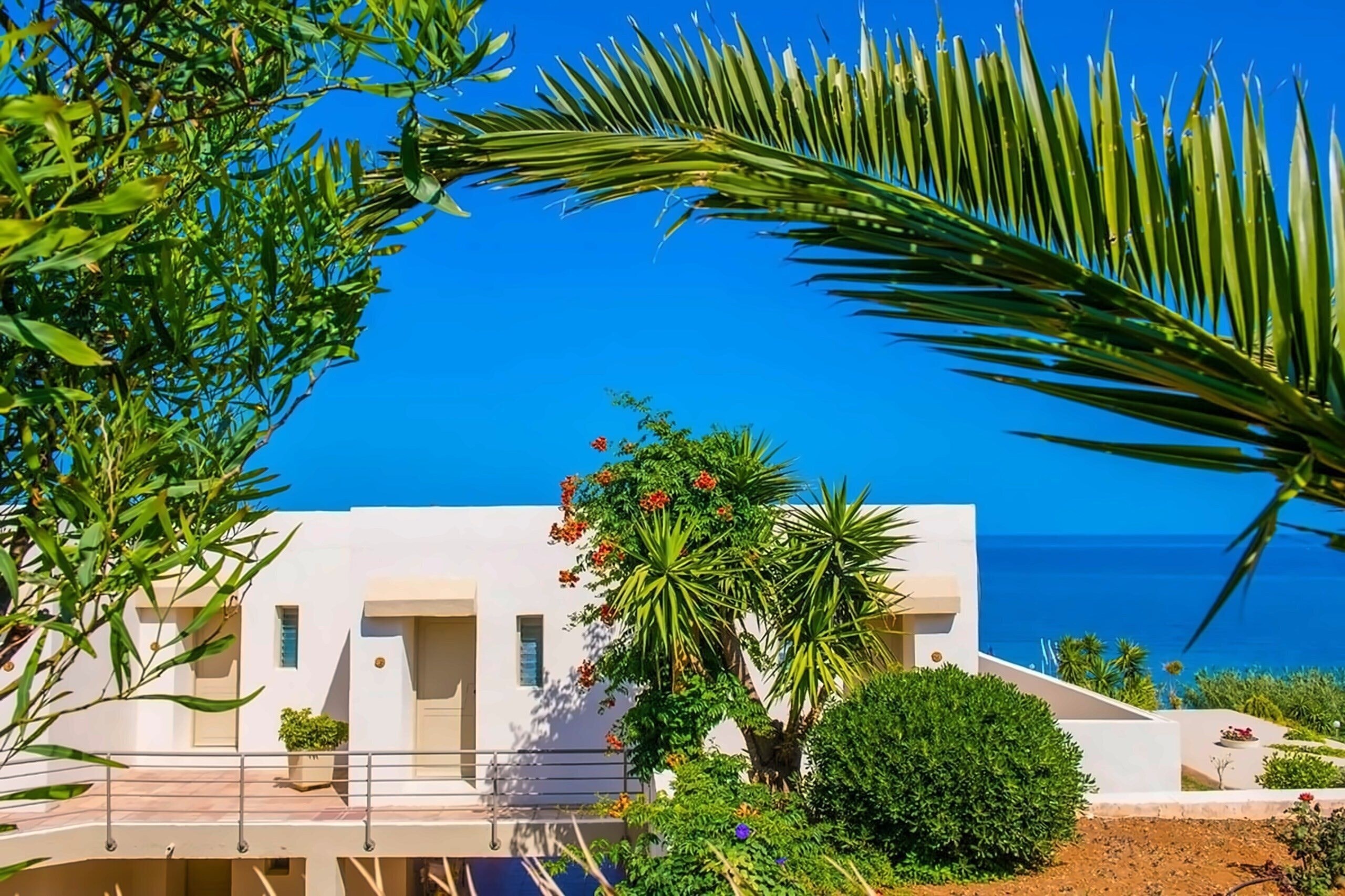 Фотография Scaleta Beach Hotel Adults Only 16+ 3*