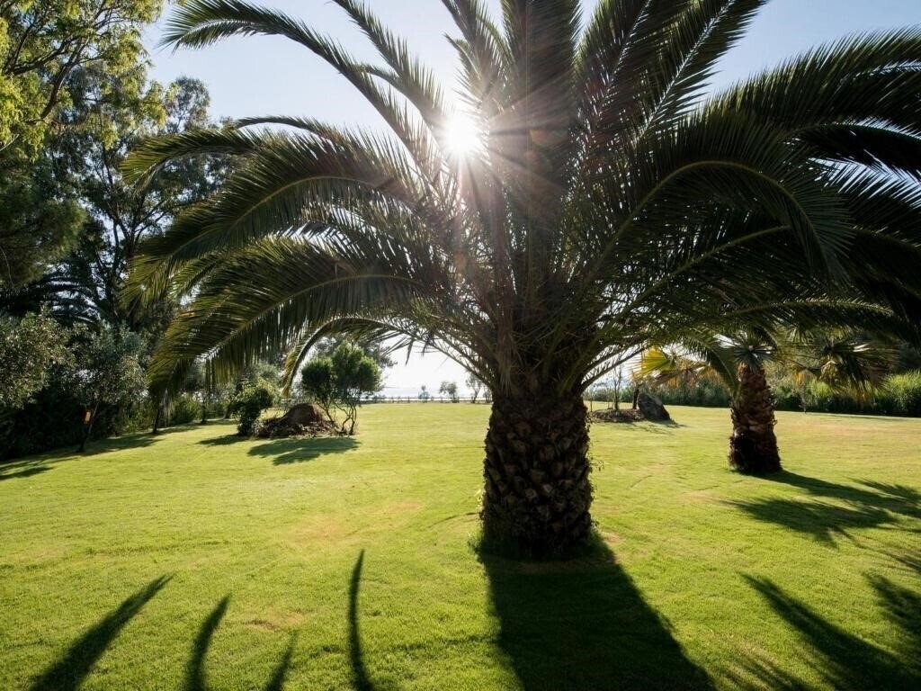 Фото Palm Garden 4*