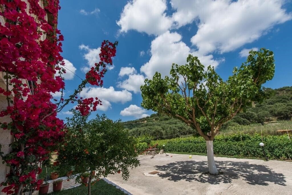 Картинка Pension Porto Tsi Ostrias 3*