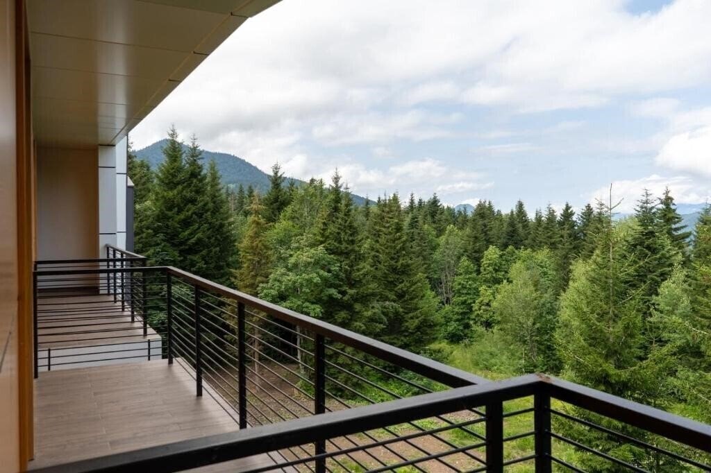 Изображение Goderdzi Twins Hotel 4*