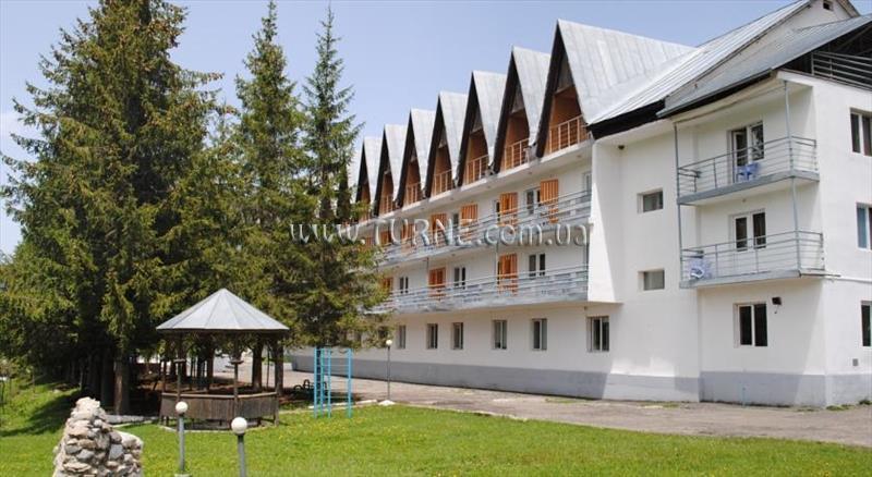 Отель Bakuriani Resorts Hotel 3*