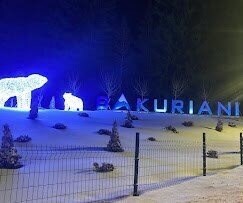 Фото Holiday In Bakuriani 2*