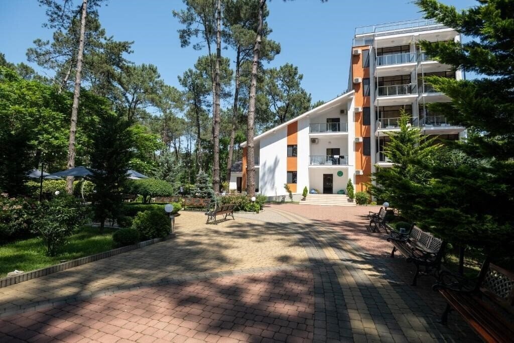 Отель Buxus Hotel Shekvetili 4*