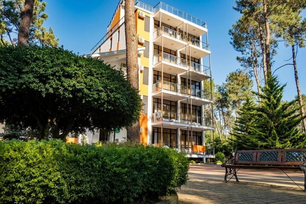 Изображение Buxus Hotel Shekvetili 4*