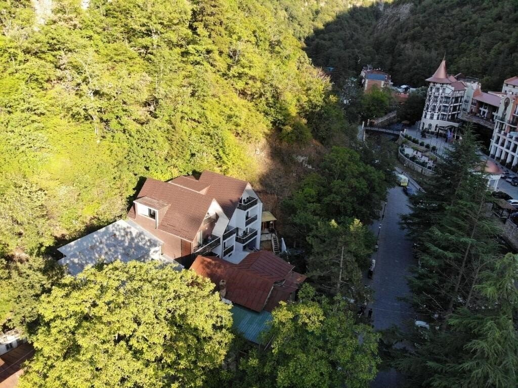 Готель Hotel Borjomi Underwood 4*