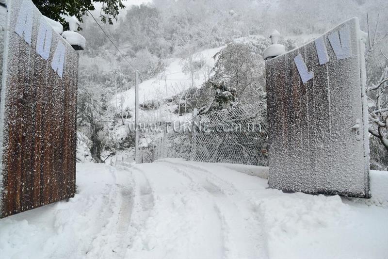 Отель Hotel Livada 3*