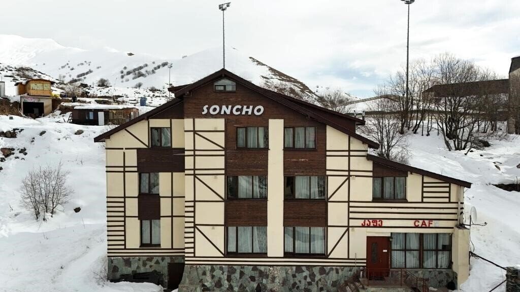 Картинка Soncho Gudauri 3*