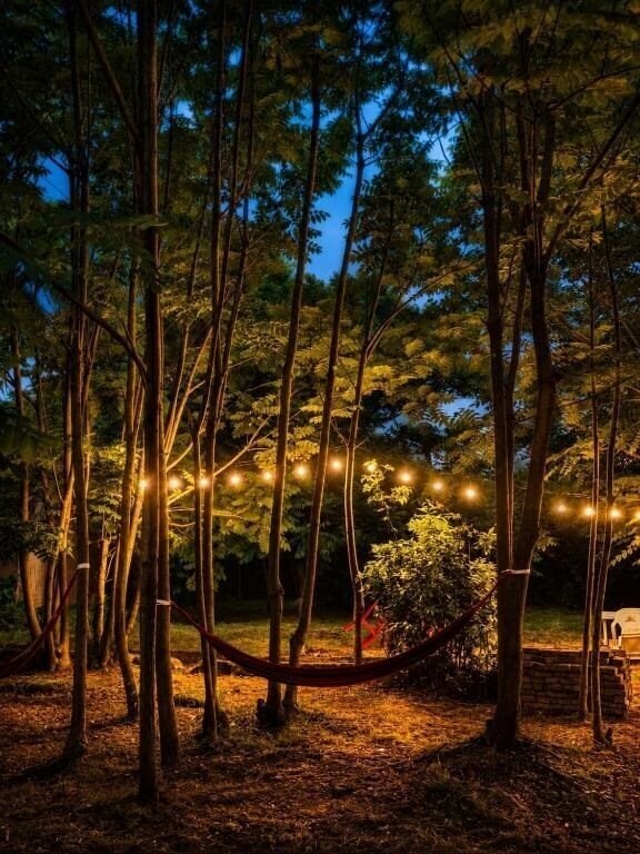 Готель Jija Gold Kobuleti 3*