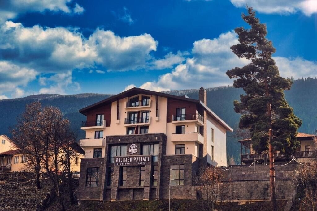 Фотографія Hotel Paliani 3*
