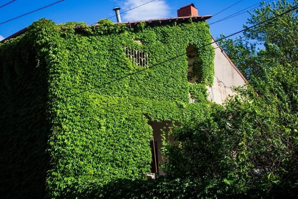 Фотографія Hotel Flamingo 3*