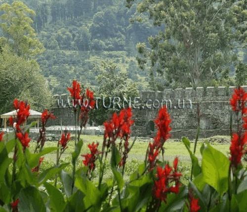 Зображення Sarpi STR 3*