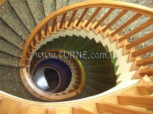 Зображення David L 3*