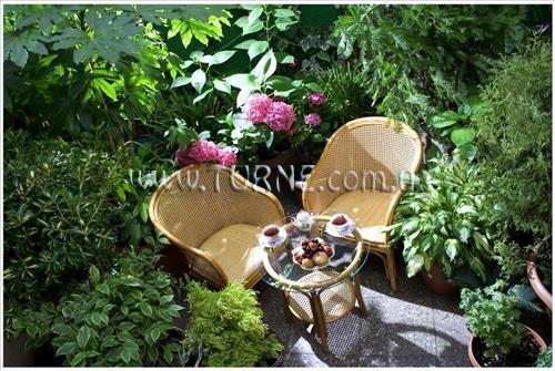 Зображення British House 4*