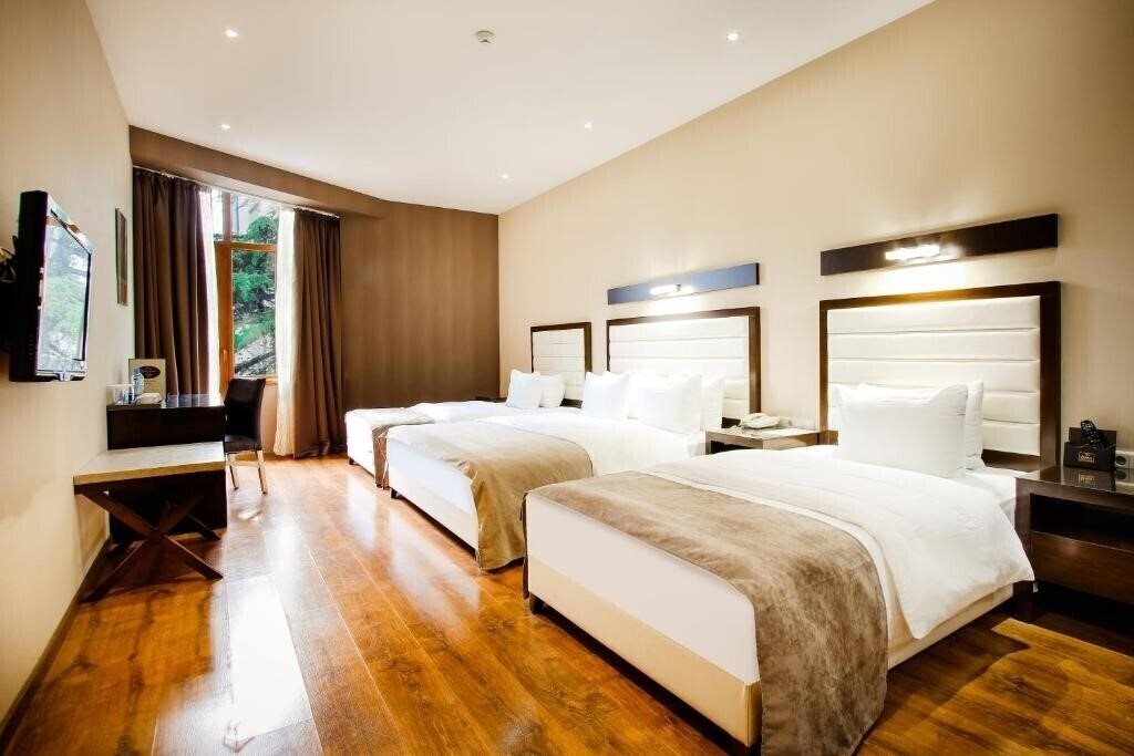 Картинка Orion Tbilisi 3*