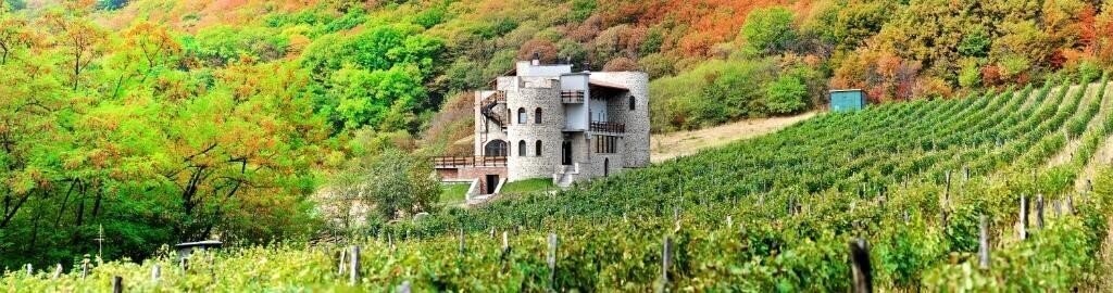 Готель Babaneuris Winery & Boutique Hotel 4*