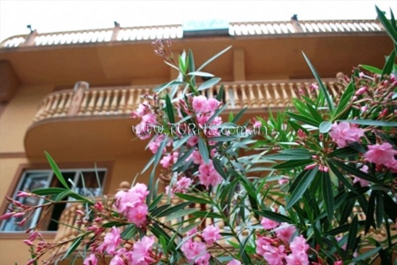 Отель Бека 3*