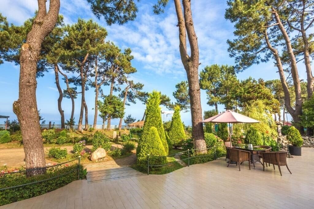 Фотографія Kolkhida 4*