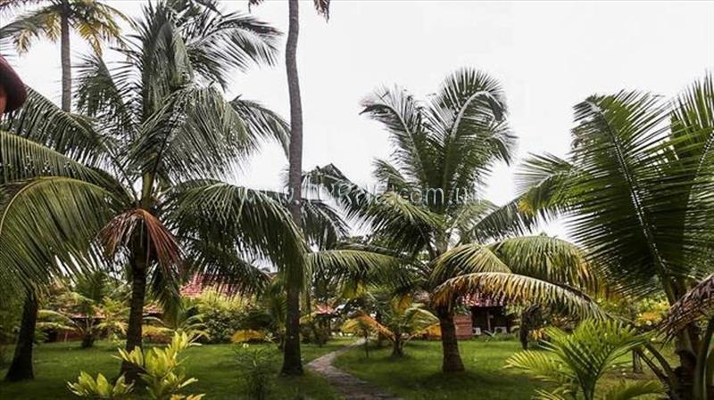 Фотографія Kondai Lip 2*