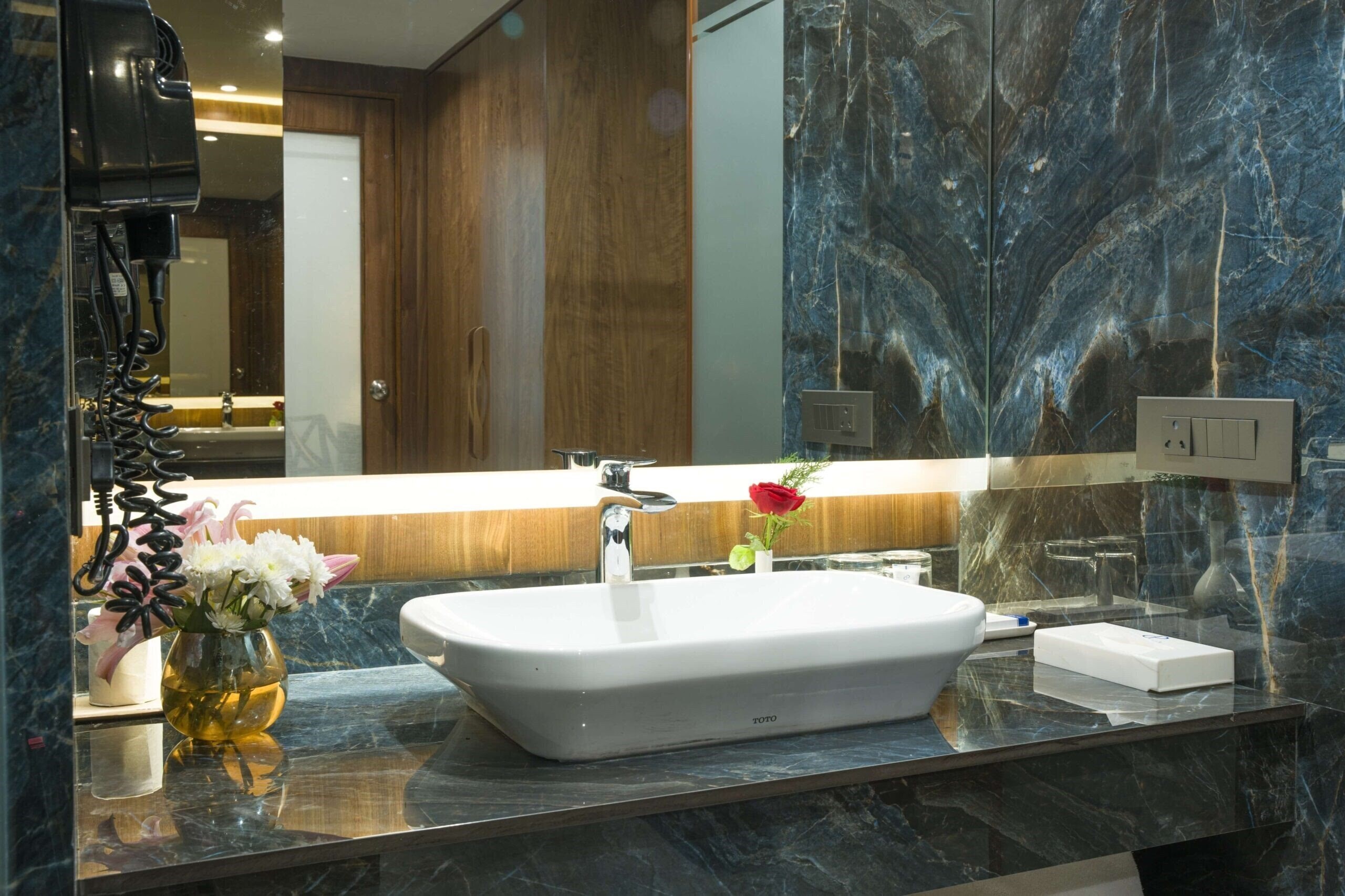 Картинка City Park Pitampura 4*